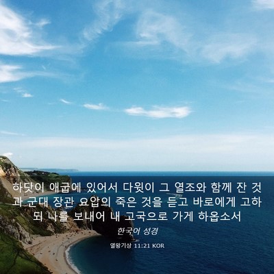 Picture 03 - 열왕기상 11:21 KOR - 하닷이 애굽에 있어서 다윗이 그 - Bible Verse Picture
