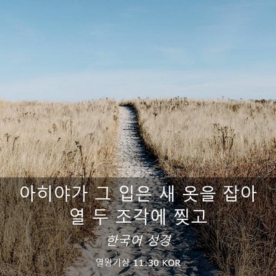 Picture 03 - 열왕기상 11:30 KOR - 아히야가 그 입은 새 옷을 잡아 열 두 - Bible Verse Picture