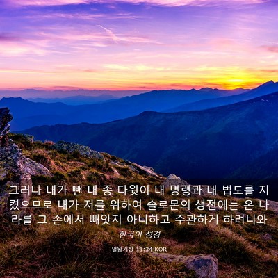 Picture 03 - 열왕기상 11:34 KOR - 그러나 내가 뺀 내 종 다윗이 내 - Bible Verse Picture