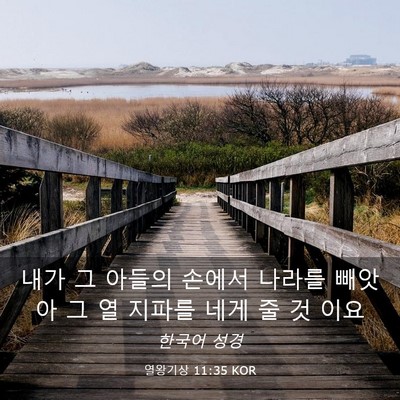 Picture 03 - 열왕기상 11:35 KOR - 내가 그 아들의 손에서 나라를 - Bible Verse Picture