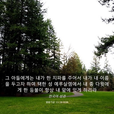 Picture 03 - 열왕기상 11:36 KOR - 그 아들에게는 내가 한 지파를 - Bible Verse Picture