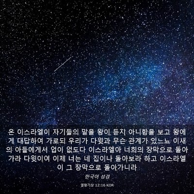 Picture 03 - 열왕기상 12:16 KOR - 온 이스라엘이 자기들의 말을 왕이 - Bible Verse Picture