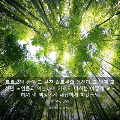 Picture 03 - 열왕기상 12:6 KOR - 르호보암 왕이 그 부친 솔로몬의 - Bible Verse Picture