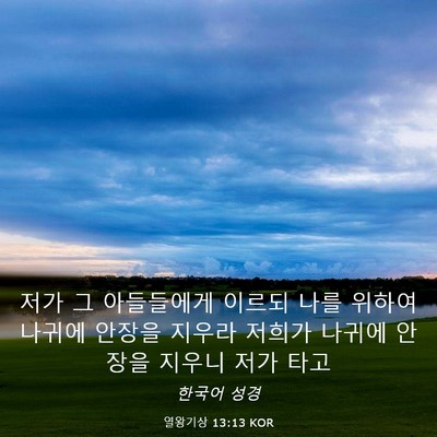 Picture 03 - 열왕기상 13:13 KOR - 저가 그 아들들에게 이르되 나를 - Bible Verse Picture