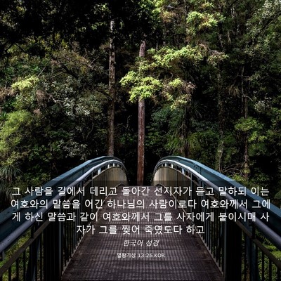 Picture 03 - 열왕기상 13:26 KOR - 그 사람을 길에서 데리고 돌아간 - Bible Verse Picture