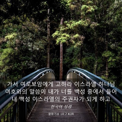 Picture 03 - 열왕기상 14:7 KOR - 가서 여로보암에게 고하라 이스라엘 - Bible Verse Picture