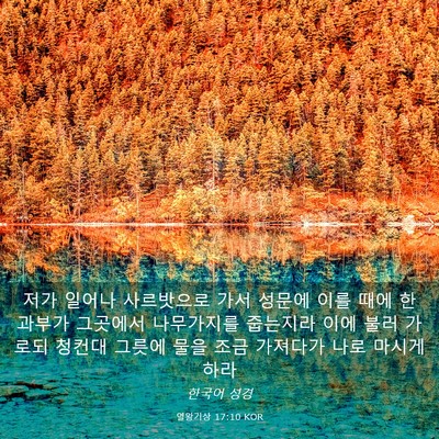 Picture 03 - 열왕기상 17:10 KOR - 저가 일어나 사르밧으로 가서 성문에 - Bible Verse Picture