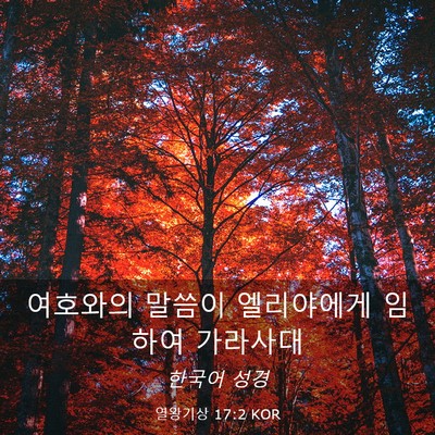 Picture 03 - 열왕기상 17:2 KOR - 여호와의 말씀이 엘리야에게 임하여 - Bible Verse Picture