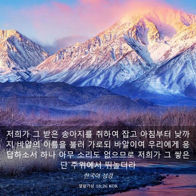 Picture 03 - 열왕기상 18:26 KOR - 저희가 그 받은 송아지를 취하여 - Bible Verse Picture