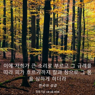 Picture 03 - 열왕기상 18:28 KOR - 이에 저희가 큰 소리로 부르고 그 - Bible Verse Picture