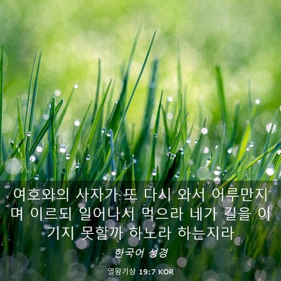 Picture 03 - 열왕기상 19:7 KOR - 여호와의 사자가 또 다시 와서 - Bible Verse Picture