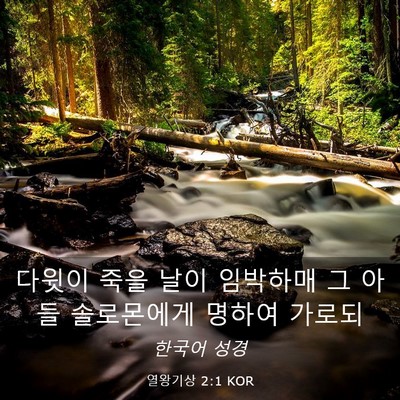 Picture 03 - 열왕기상 2:1 KOR - 다윗이 죽을 날이 임박하매 그 아들 - Bible Verse Picture
