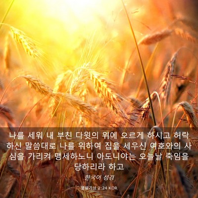 Picture 03 - 열왕기상 2:24 KOR - 나를 세워 내 부친 다윗의 위에 - Bible Verse Picture