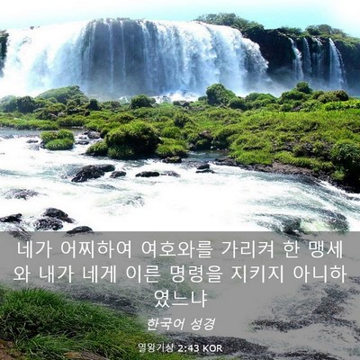 Picture 03 - 열왕기상 2:43 KOR - 네가 어찌하여 여호와를 가리켜 한 - Bible Verse Picture
