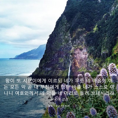 Picture 03 - 열왕기상 2:44 KOR - 왕이 또 시므이에게 이르되 네가 - Bible Verse Picture
