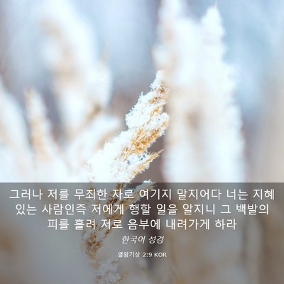 Picture 03 - 열왕기상 2:9 KOR - 그러나 저를 무죄한 자로 여기지 - Bible Verse Picture