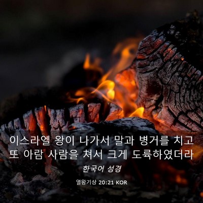 Picture 03 - 열왕기상 20:21 KOR - 이스라엘 왕이 나가서 말과 병거를 - Bible Verse Picture
