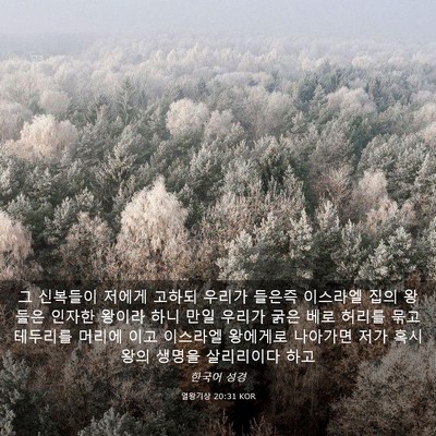 Picture 03 - 열왕기상 20:31 KOR - 그 신복들이 저에게 고하되 우리가 - Bible Verse Picture