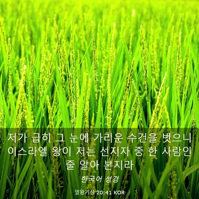 Picture 03 - 열왕기상 20:41 KOR - 저가 급히 그 눈에 가리운 수건을 - Bible Verse Picture