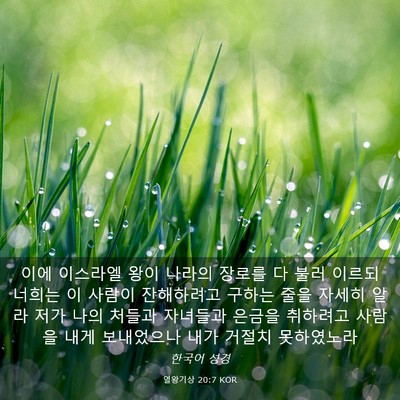 Picture 03 - 열왕기상 20:7 KOR - 이에 이스라엘 왕이 나라의 장로를 - Bible Verse Picture