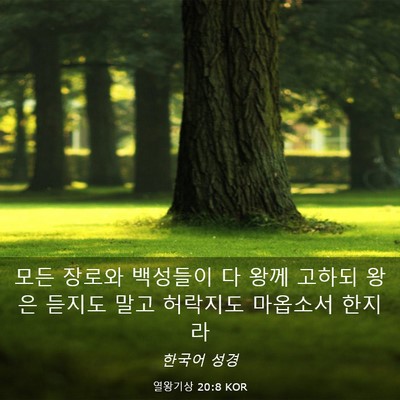 Picture 03 - 열왕기상 20:8 KOR - 모든 장로와 백성들이 다 왕께 - Bible Verse Picture