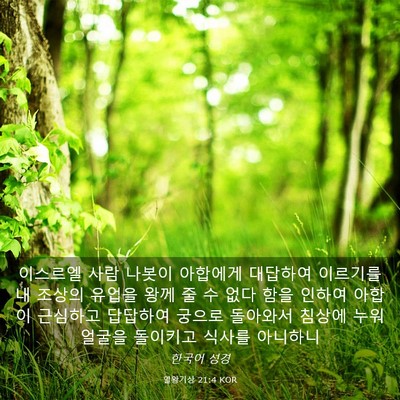 Picture 03 - 열왕기상 21:4 KOR - 이스르엘 사람 나봇이 아합에게 - Bible Verse Picture