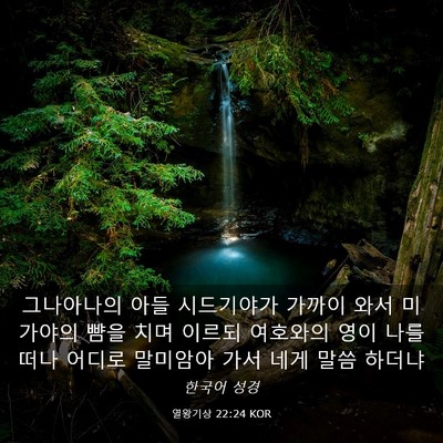 Picture 03 - 열왕기상 22:24 KOR - 그나아나의 아들 시드기야가 가까이 - Bible Verse Picture
