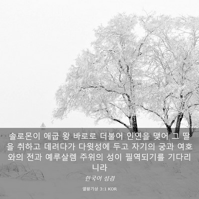 Picture 03 - 열왕기상 3:1 KOR - 솔로몬이 애굽 왕 바로로 더불어 - Bible Verse Picture