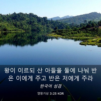 Picture 03 - 열왕기상 3:25 KOR - 왕이 이르되 산 아들을 둘에 나눠 - Bible Verse Picture