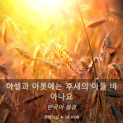 Picture 03 - 열왕기상 4:16 KOR - 아셀과 아롯에는 후새의 아들 - Bible Verse Picture
