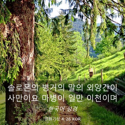 Picture 03 - 열왕기상 4:26 KOR - 솔로몬의 병거의 말의 외양간이 - Bible Verse Picture