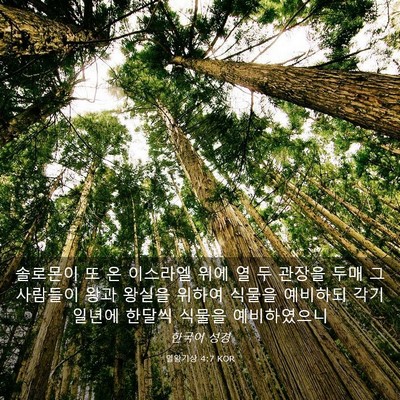 Picture 03 - 열왕기상 4:7 KOR - 솔로몬이 또 온 이스라엘 위에 열 두 - Bible Verse Picture