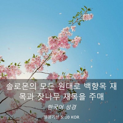 Picture 03 - 열왕기상 5:10 KOR - 솔로몬의 모든 원대로 백향목 재목과 - Bible Verse Picture
