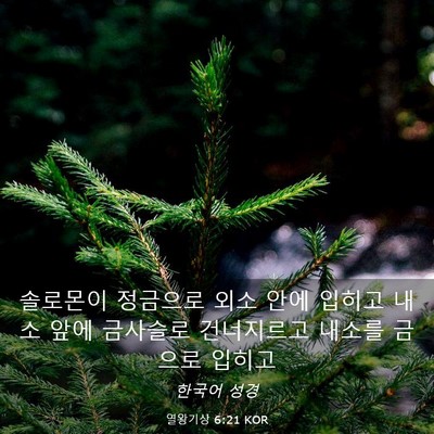 Picture 03 - 열왕기상 6:21 KOR - 솔로몬이 정금으로 외소 안에 입히고 - Bible Verse Picture