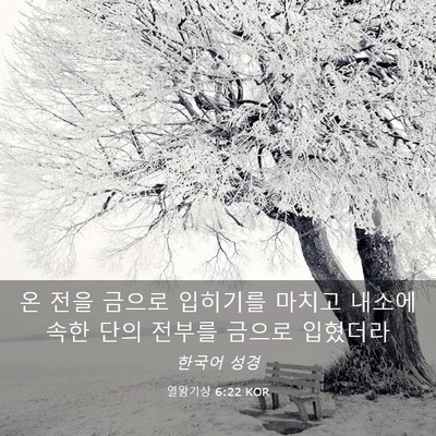 Picture 03 - 열왕기상 6:22 KOR - 온 전을 금으로 입히기를 마치고 - Bible Verse Picture