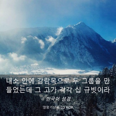 Picture 03 - 열왕기상 6:23 KOR - 내소 안에 감람목으로 두 그룹을 - Bible Verse Picture