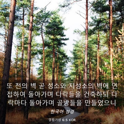 Picture 03 - 열왕기상 6:5 KOR - 또 전의 벽 곧 성소와 지성소의 벽에 - Bible Verse Picture