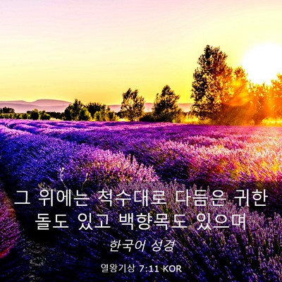 Picture 03 - 열왕기상 7:11 KOR - 그 위에는 척수대로 다듬은 귀한 - Bible Verse Picture