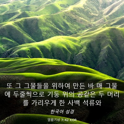 Picture 03 - 열왕기상 7:42 KOR - 또 그 그물들을 위하여 만든 바 매 - Bible Verse Picture