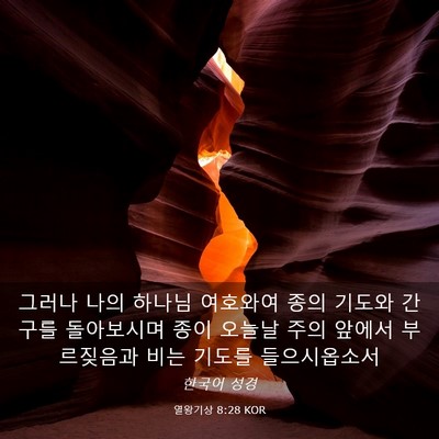 Picture 03 - 열왕기상 8:28 KOR - 그러나 나의 하나님 여호와여 종의 - Bible Verse Picture