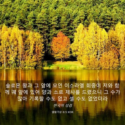 Picture 03 - 열왕기상 8:5 KOR - 솔로몬 왕과 그 앞에 모인 이스라엘 - Bible Verse Picture