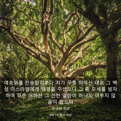 Picture 03 - 열왕기상 8:56 KOR - 여호와를 찬송할지로다 저가 무릇 - Bible Verse Picture