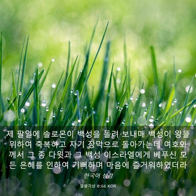 Picture 03 - 열왕기상 8:66 KOR - 제 팔일에 솔로몬이 백성을 돌려 - Bible Verse Picture