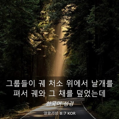 Picture 03 - 열왕기상 8:7 KOR - 그룹들이 궤 처소 위에서 날개를 - Bible Verse Picture
