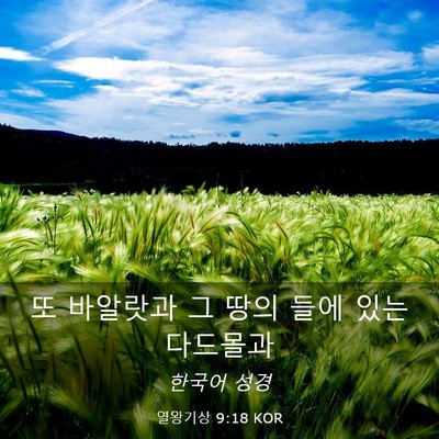 Picture 03 - 열왕기상 9:18 KOR - 또 바알랏과 그 땅의 들에 있는 - Bible Verse Picture