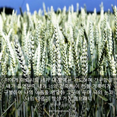 Picture 03 - 열왕기상 9:3 KOR - 저에게 이르시되 네가 내 앞에서 - Bible Verse Picture