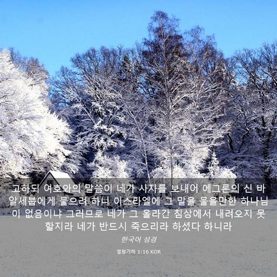 Picture 03 - 열왕기하 1:16 KOR - 고하되 여호와의 말씀이 네가 사자를 - Bible Verse Picture