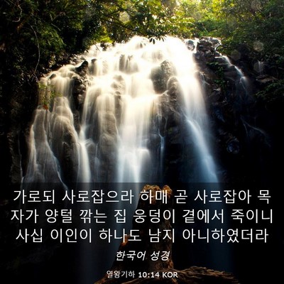 Picture 03 - 열왕기하 10:14 KOR - 가로되 사로잡으라 하매 곧 사로잡아 - Bible Verse Picture