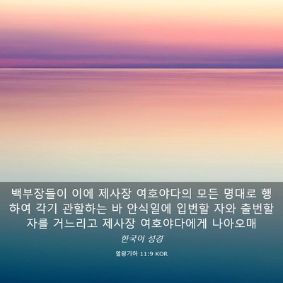 Picture 03 - 열왕기하 11:9 KOR - 백부장들이 이에 제사장 여호야다의 - Bible Verse Picture