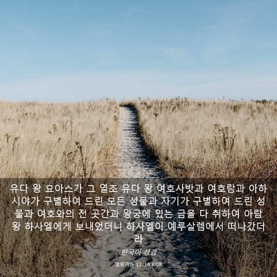 Picture 03 - 열왕기하 12:18 KOR - 유다 왕 요아스가 그 열조 유다 왕 - Bible Verse Picture